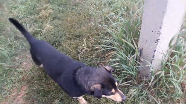 Кто к нам пришёл😄🤔 смотреть онлайн