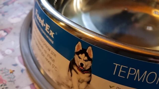 Миска с подогревом для Котов Распаковка. смотреть онлайн