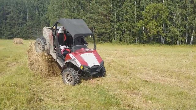 POLARIS RZR 800S - жук-скоробей смотреть онлайн