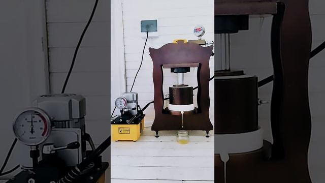 Маслопресс для сыродавленного масла смотреть онлайн