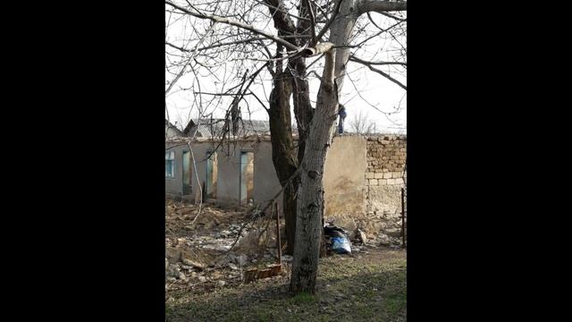 Переделка дома и "окультуривание" территории 2018-2020 смотреть онлайн