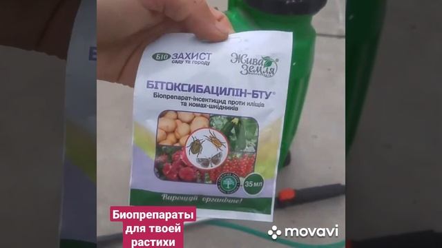 Обработка огорода от гусениц тли смотреть онлайн