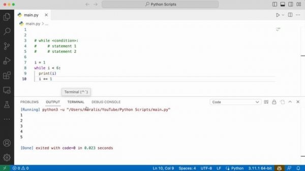Day 13 - Python While Loops