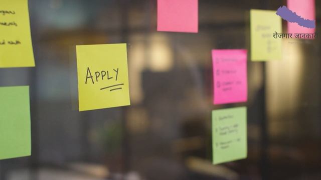 Software Developer & Many More Openings | Jobs In Bookmundi | Undergraduate JOBS | Nepal