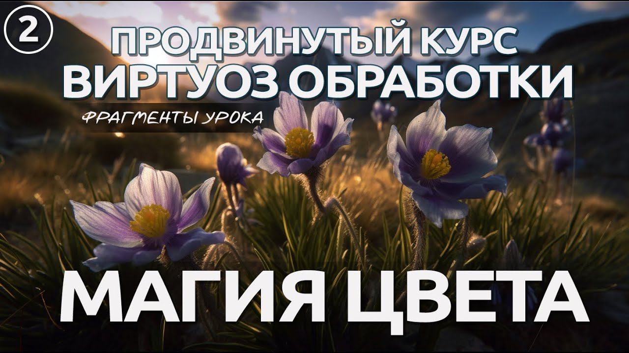 Фрагменты НОВОГО Курса / Магия цвета / Урок 2 смотреть онлайн