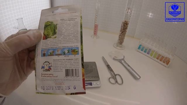 Капуста пекинская Сентябрина F1. СеДеК смотреть онлайн