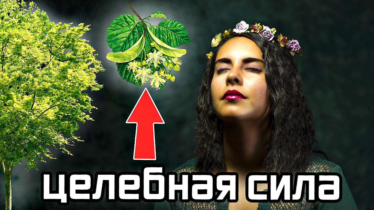 Нет болезни которую бы не излечило это дерево. Невероятная польза липы для организма человека. смотреть онлайн
