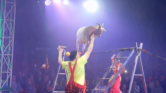 Евроцирк в Великих Луках! смотреть онлайн