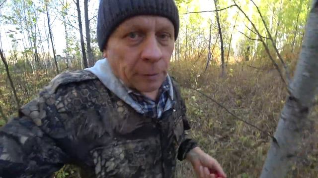 СНИМАЮ ЛОВУШКИ С ШЕРШНЯМИ, КОНЕЦ РОЕЛОВНОГО СЕЗОНА. 3 Часть. смотреть онлайн