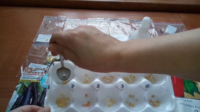 Посевная началась! Обеззараживаю и замачиваю семена сладкого, острого перца и баклажан. смотреть онлайн