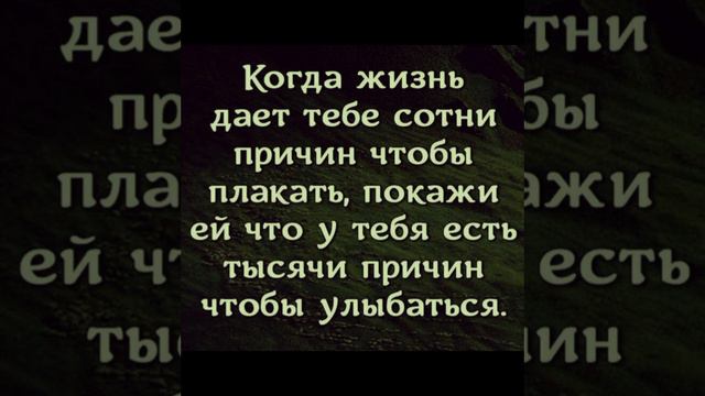 у лжи всегда есть свидетели, а у правды - никогда. смотреть онлайн