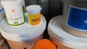 МИНЕРАЛКА ДЛЯ ГОЛУБЕЙ