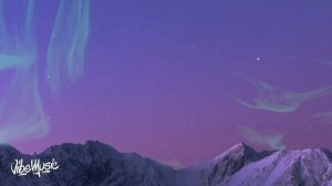 Maneskin - CORALINE (Lyrics-Testo)