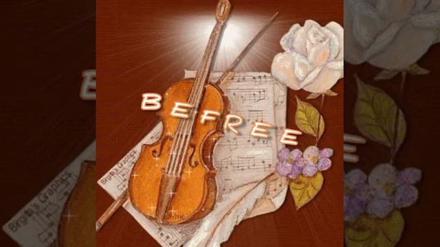 Компания Befree