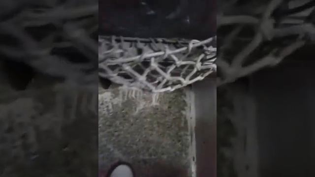 Новочеркасск :) смотреть онлайн