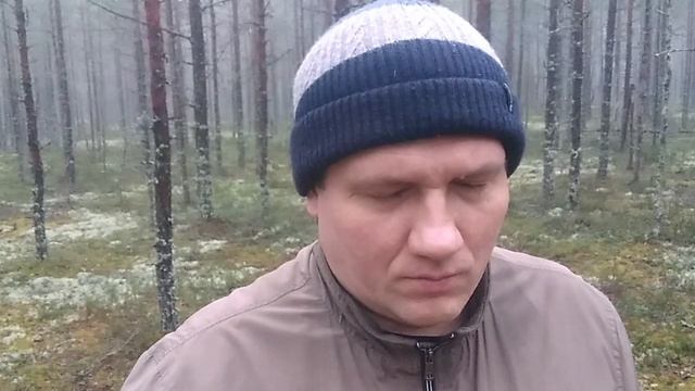 №8 Гармонизация структур позвоночника смотреть онлайн