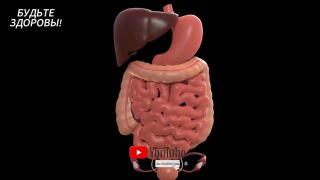 Как избавится от ЗАПОРА? надо ПИТЬ это и ЗАПОР пройдет, Как очистить кишечник?