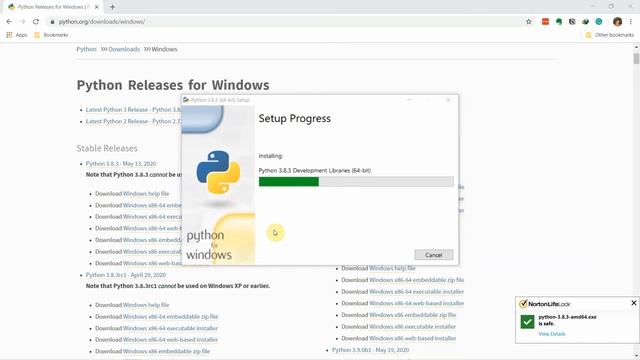 How to Install Python 3.8.3 64 bit on Windows 10 смотреть онлайн