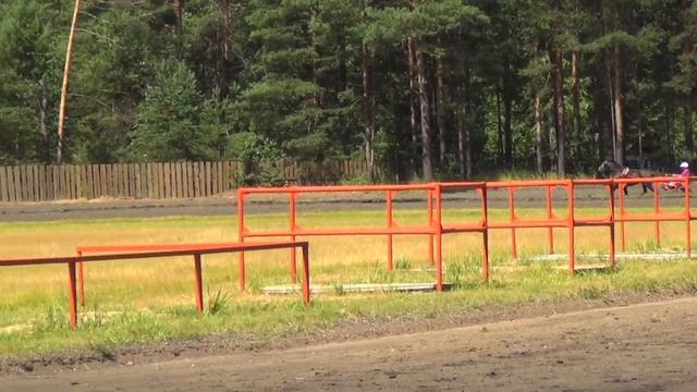 Забеги Орловских Рысаков 2x лет на 1600м - Конный спорт Вельск смотреть онлайн