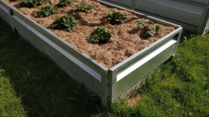 Что будет с оцинкованными грядками через пять лет использования