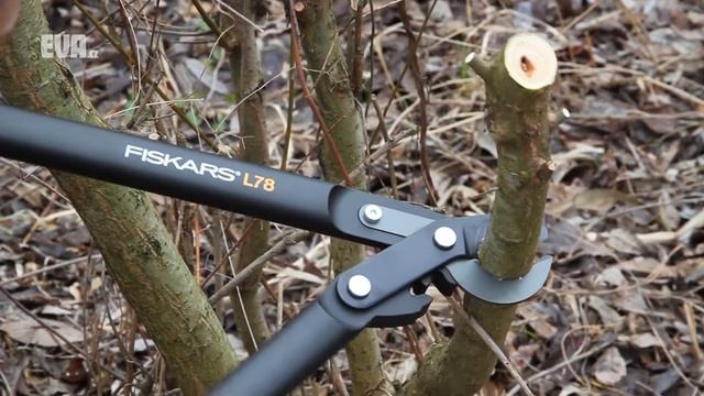 Nůžky Fiskars L78 112590 na Eva.cz смотреть онлайн