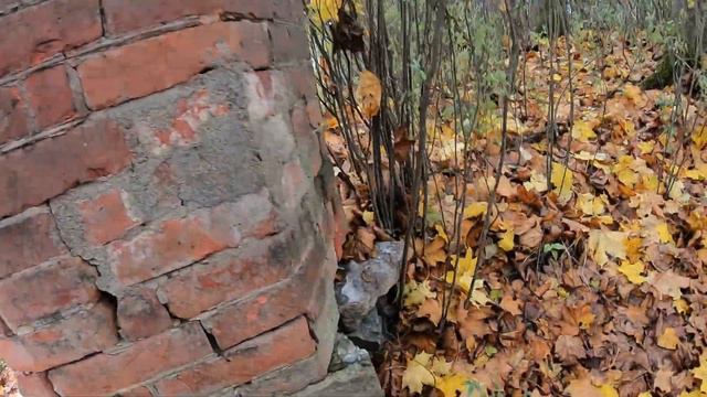 GEOCASHING Latvija
