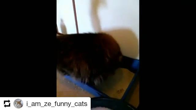 #видеоотзывWC смотреть онлайн