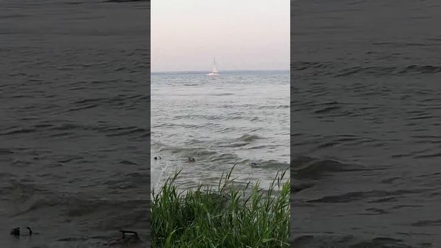 ⛵ #июнь #2023 #таганрог #азовскоеморе #таганрогскийзалив #море #яхта #природа #россия #лето #июнь смотреть онлайн