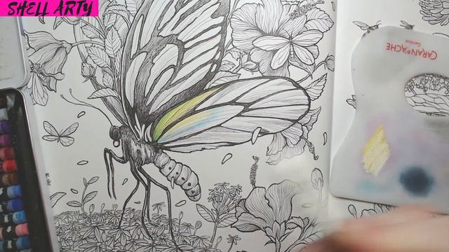 FRAGILE WORLD, KERBY ROSANES, QUEEN ALEXANDRA'S BIRDWING BUTTERFLY, continued in part 2 смотреть онлайн