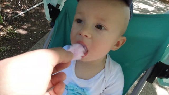 Oregon zoo 2020/Добро пожаловать в зоопарк!!! смотреть онлайн