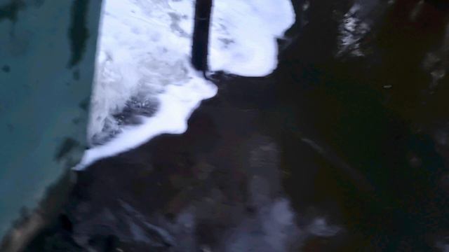 Долина реки Сходня. 31.07.2024 смотреть онлайн