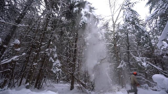 Building an Off-grid Workshop | Felling Trees for the Off Grid Log Cabin Build смотреть онлайн