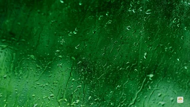 Медитация со звуками летнего дождя перед сном. 3-день программы: Антистресс со звуками природы. смотреть онлайн