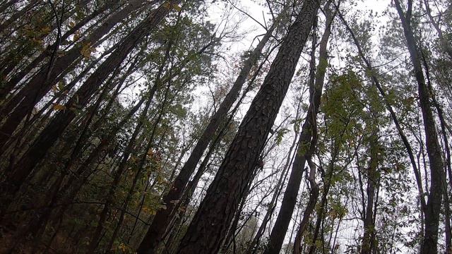 11/15/22 mossberg and Jason house miss a big doe смотреть онлайн