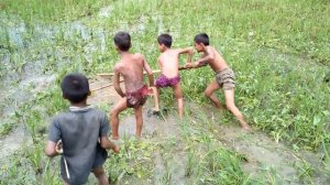 Small Boys Catching a Lot Of Small Fish By Net || Net Fishing || Expert Fishing BD || Part (6)