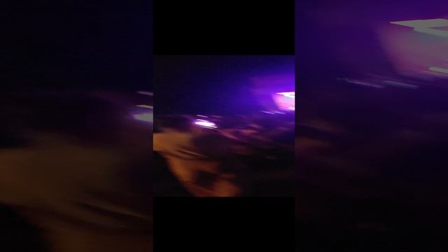 VID_2023 Мир Сибири