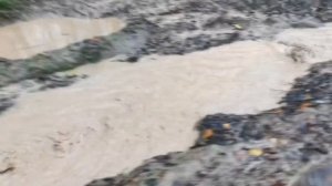 Уаз болотоход Часть 2 | 4x4 | offroad