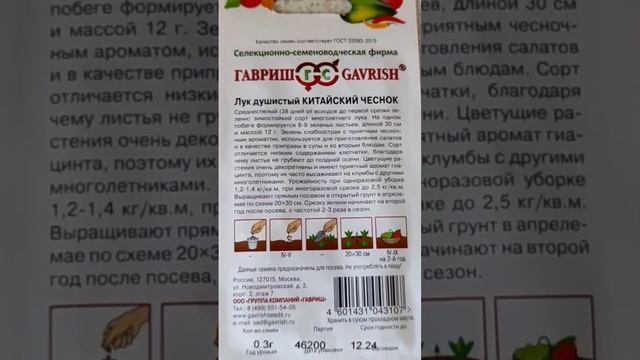 Лук душистый ( китайский лук), чем он хорош? Подписываемся на канал, ставим лайки, смотрите видео. смотреть онлайн