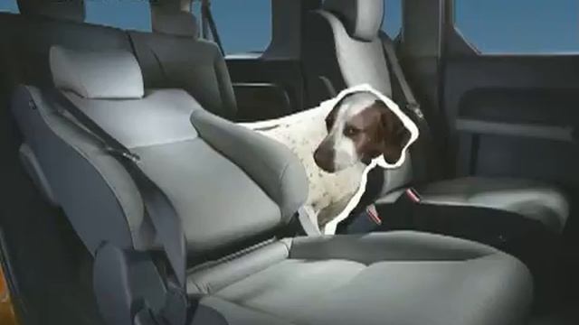 Honda Element Pointer Ad :15 Dog смотреть онлайн