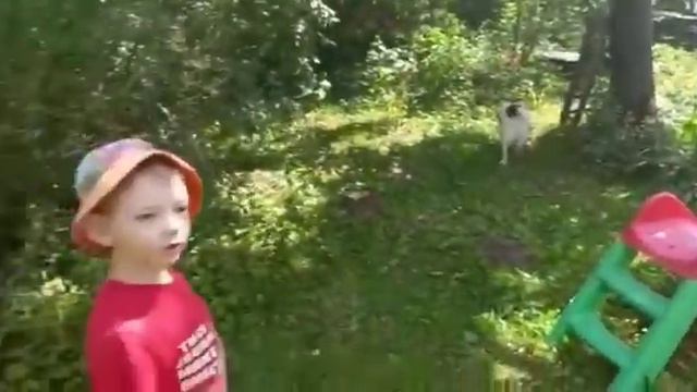 Видеопривет из дома от Буси смотреть онлайн