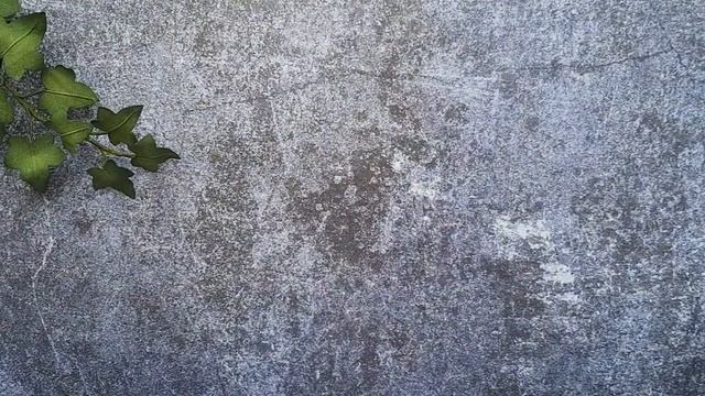 Обзор дизайнерской посылки. Релиз июнь 2021 смотреть онлайн