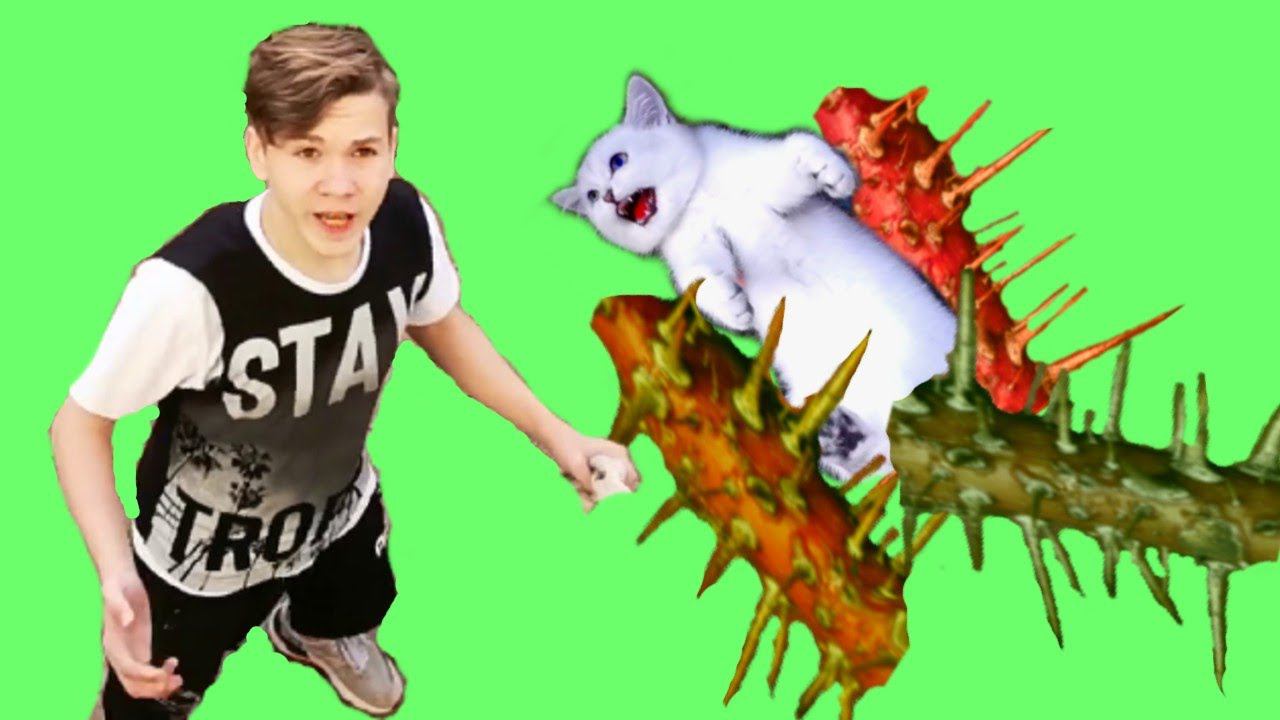 КОТЁНКУ было Очень БОЛЬНО и СТРАШНО! СПАСТИ его было ОЧЕНЬ ТРУДНО! смотреть онлайн