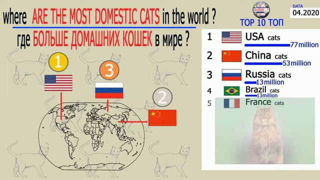 где больше домашних кошек в мире смотреть онлайн