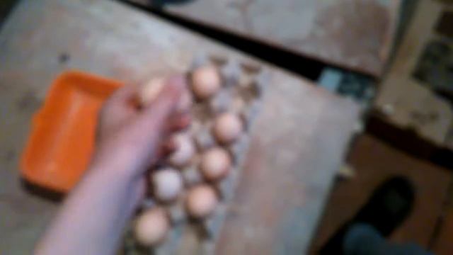 Яйценоскость кур "Амрокс" смотреть онлайн