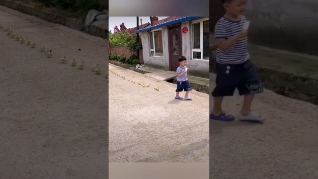 Беззаботные короткие штанишки или, повелитель утят и гусят bayoun.ru смотреть онлайн