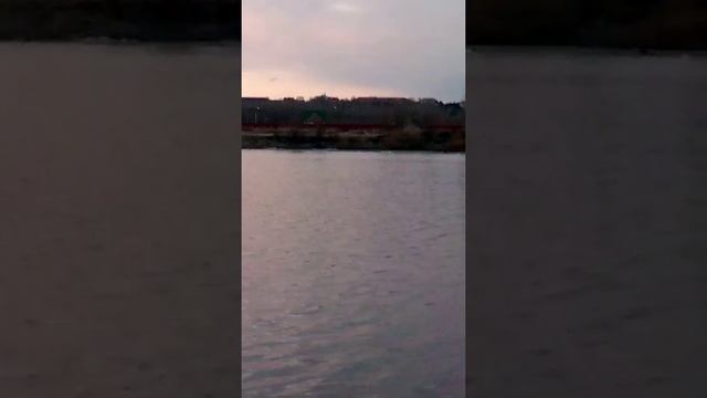 Нерест на лампочке. Омск, затон Иртыша. смотреть онлайн
