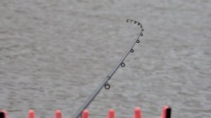 карась на фидер и флэт весной!!!