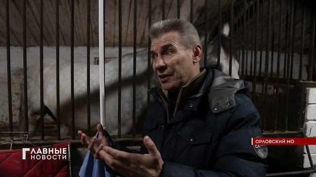 Юноармейцы Орловского муниципального округа погружались в историю и седлали лошадей.