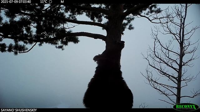 Сам себе режиссёр смотреть онлайн