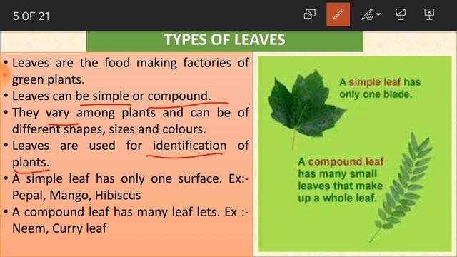 3RD | SCIENCE | PART 04 | AIMS-INDIA | JUNIOR OLYMPIAD FOUNDATION смотреть онлайн